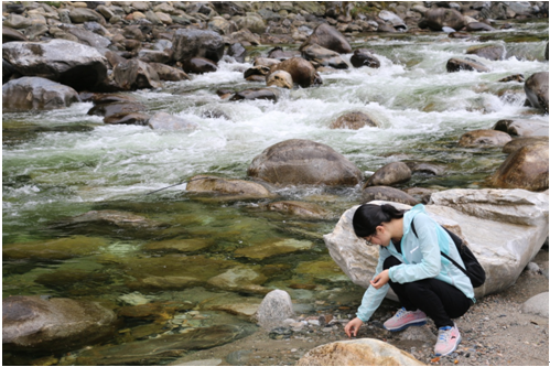 Z6·尊龙「中国区」官方网站