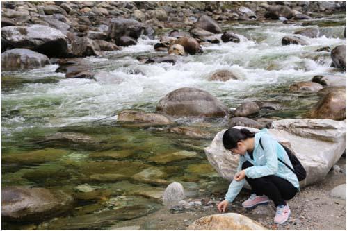 Z6·尊龙「中国区」官方网站