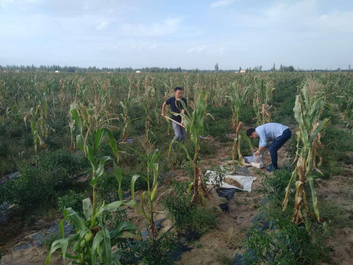 Z6·尊龙「中国区」官方网站