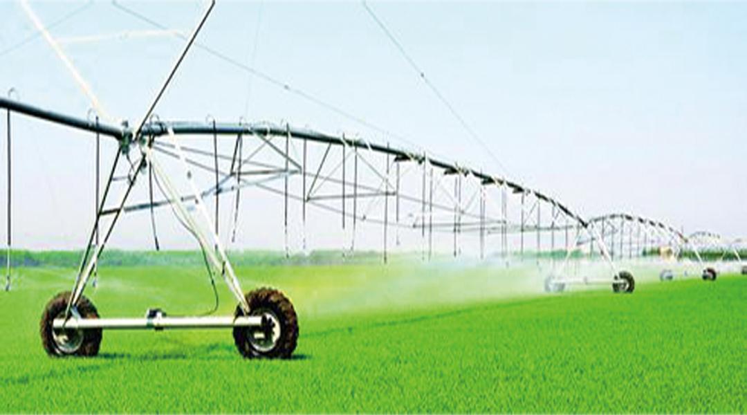 Z6·尊龙「中国区」官方网站