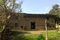 202012081108299674_248x166