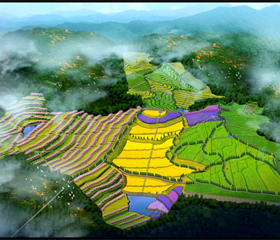 202012081335492487_280x240