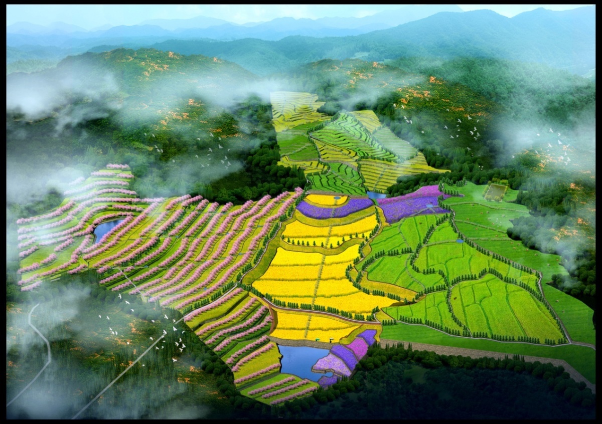 Z6·尊龙「中国区」官方网站