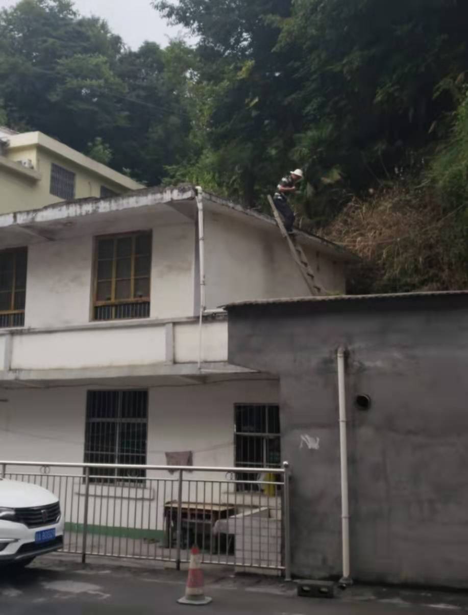 Z6·尊龙「中国区」官方网站