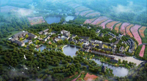 Z6·尊龙「中国区」官方网站