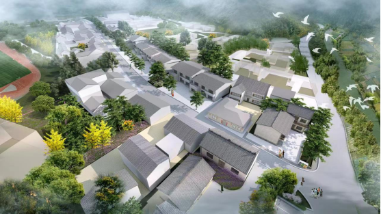 Z6·尊龙「中国区」官方网站