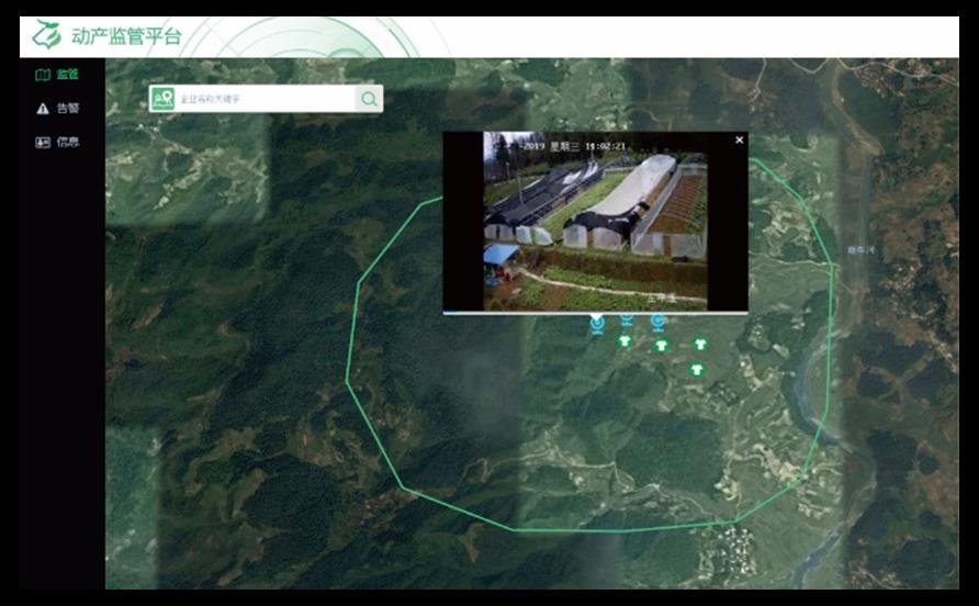 Z6·尊龙「中国区」官方网站
