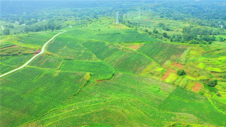 Z6·尊龙「中国区」官方网站