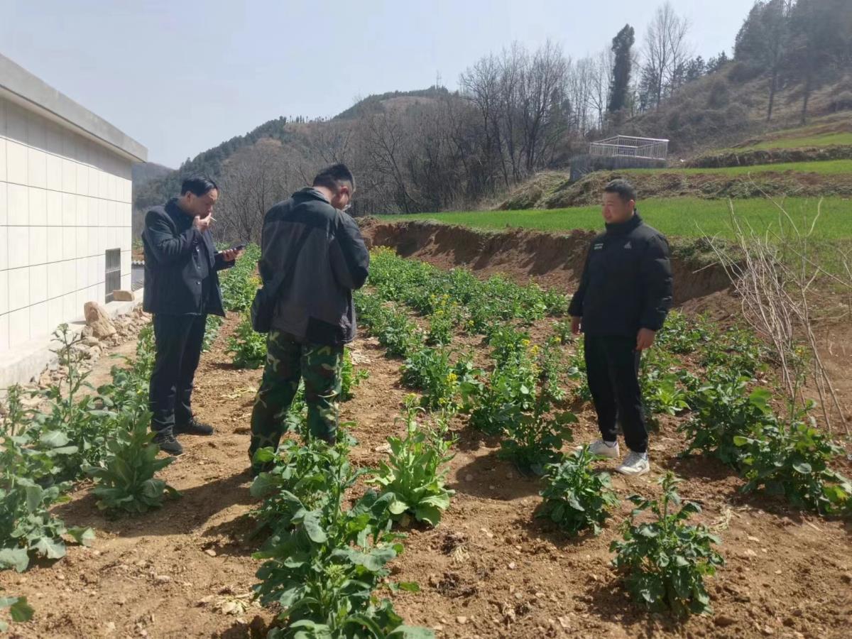 Z6·尊龙「中国区」官方网站