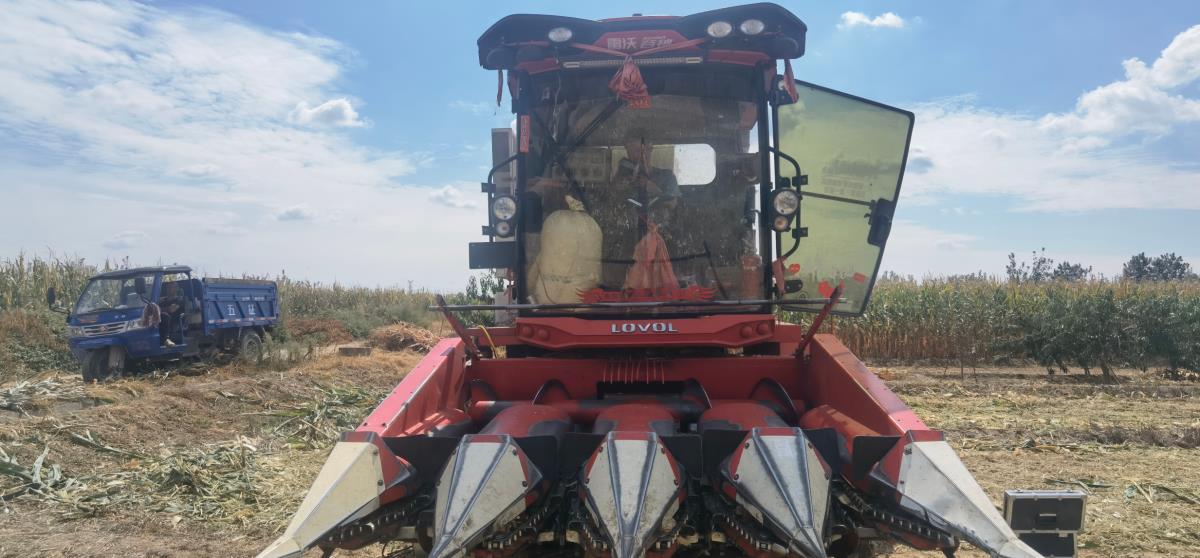 Z6·尊龙「中国区」官方网站