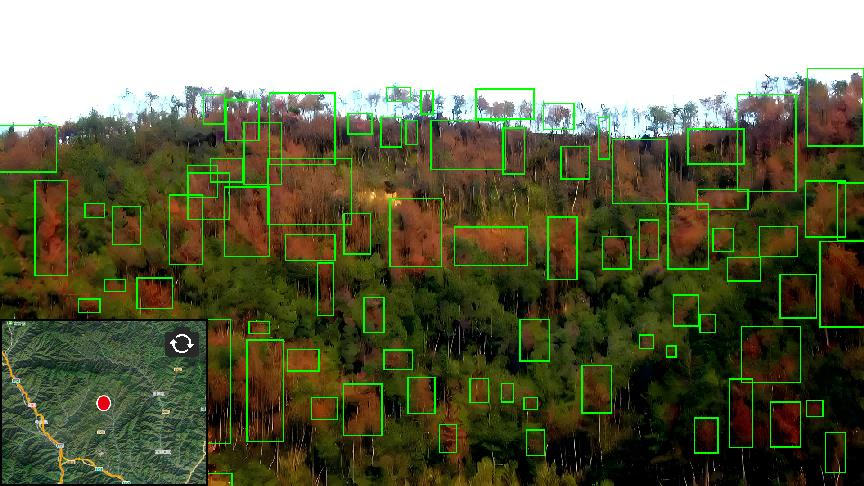 Z6·尊龙「中国区」官方网站