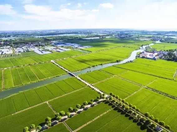 Z6·尊龙「中国区」官方网站