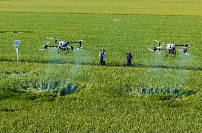 Z6·尊龙「中国区」官方网站